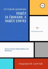 читать Пошёл за ёжиками, а нашёл улитку