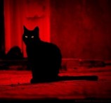 читать Преображения