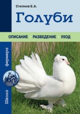 читать Голуби