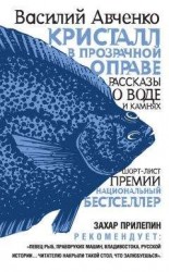 читать Кристалл в прозрачной оправе. Рассказы о воде и камнях