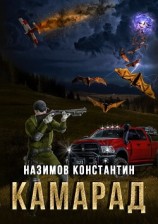 читать Камарад