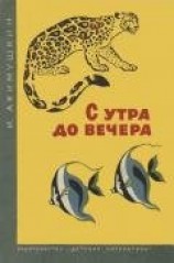 читать С утра до вечера