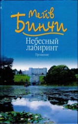 читать Небесный лабиринт. Прощение