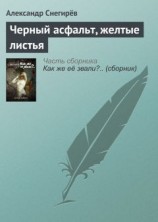 читать Черный асфальт, желтые листья