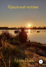 читать Идеальный человек