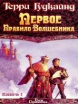 читать Первое правило волшебника