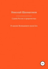 читать Судьба России в пророчествах русских святых. В законе Всевышнего воля его