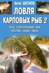 читать Ловля карповых рыб – 2