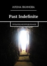 читать Past Indefinite. Прошлое/неопределенное
