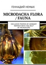 читать Microdacha flora / fauna. Exclusive photos of Gennady Nemykh with the help of microscope