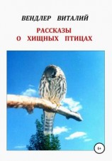 читать Рассказы о хищных птицах