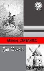 читать Хитроумный идальго Дон Кихот Ламанчский