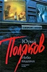 читать Небо падших