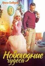 читать Новогодние чудеса