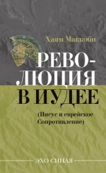 читать Революция в Иудее (Иисус и еврейское Сопротивление)