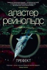 читать Префект