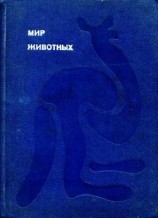 читать Клоачные, сумчатые, насекомоядные, шерстокрылые, хищные, непарнокопытные и парнокопытные
