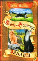 читать Месть Звёздного Луча. Разлом