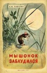 читать Мышонок заблудился