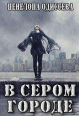 читать В сером городе