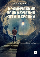 читать Космические приключения кота Персика