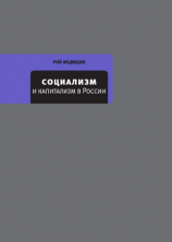 читать Социализм и капитализм в России
