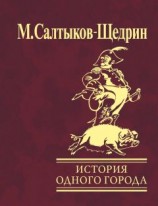 читать История одного города