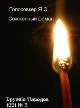 читать Сожженный роман