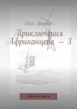 читать Приключения Африканцева  3. Камень мысли