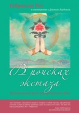 читать В поисках экстаза. Целительный путь неукрощенного духа