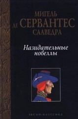 читать Назидательные новеллы