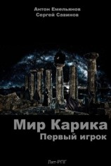 читать Мир Карика. Первый игрок