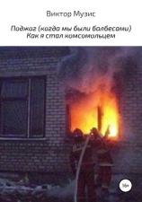 читать Поджог. Как меня в комсомол принимали