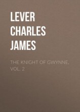читать The Knight Of Gwynne, Vol. 2