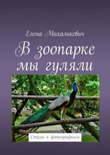читать В зоопарке мы гуляли. Стихи к фотографиям