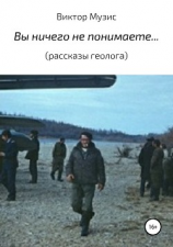 читать Вы ничего не понимаете