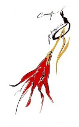 читать Rhodophiala