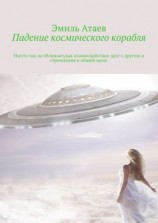 читать Падение космического корабля. Ничто так не сближает, как взаимодействие друг с другом и стремление к общей цели
