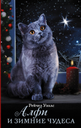 читать Алфи и зимние чудеса