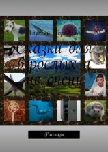 читать Сказки для взрослых и не очень. Рассказы