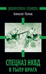 читать Диверсанты Сталина. Спецназ НКВД в тылу врага