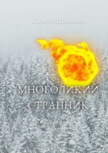 читать Многоликий странник