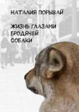 читать Жизнь глазами бродячей собаки