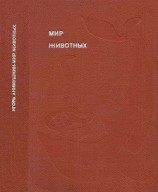 читать Рассказы о змеях, крокодилах, черепахах, лягушках, рыбах