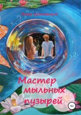 читать Мастер мыльных пузырей