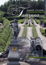 читать Гатчина. От прошлого к настоящему. История города и его жителей