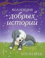 читать Коллекция добрых историй (сборник)