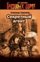 читать Секретный агент