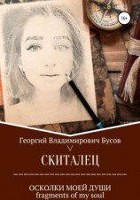 читать Скиталец. Осколки моей души