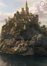читать Дорога в Академию